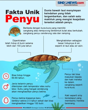 Fakta-Fakta Menarik...