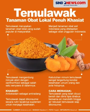 Temulawak, Tanaman Obat...