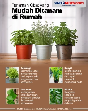 6 Tanaman Obat yang...