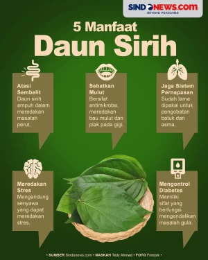 5 Manfaat Daun Sirih,...