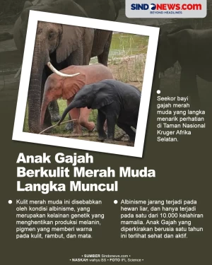 Sangat Langka, Anak...