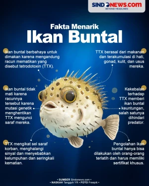 Fakta Menarik Ikan Buntal,...