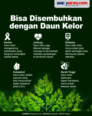 Kaya Manfaat, Daun Kelor...