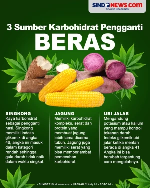 3 Sumber Karbohidrat...