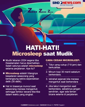 Mengenal Microsleep...
