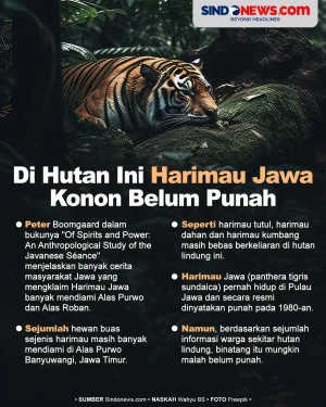 Di Hutan Angker Ini...