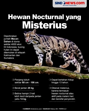 Tak Kalah dari Harimau...