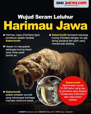 Memiliki Taring Tajam,...