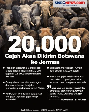 20.000 Gajah Akan Dikirim...