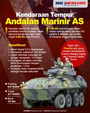 Piranha, Kendaraan Tempur...