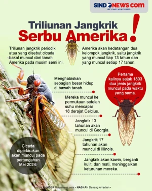 Ngeri, Triliunan Jangkrik...