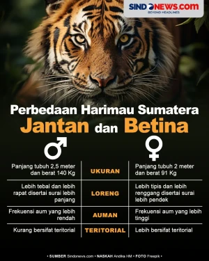 Jangan Salah, Ini Perbedaan...