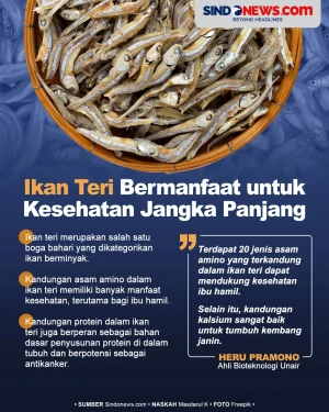 Ikan Teri Bermanfaat...