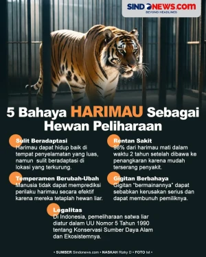 5 Bahaya Harimau Dijadikan...