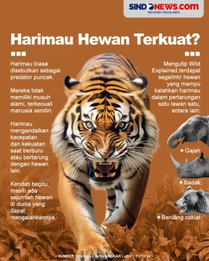 Apakah Ada Binatang...