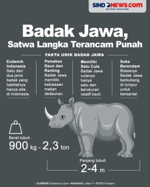 Badak Jawa, Satwa Langka...