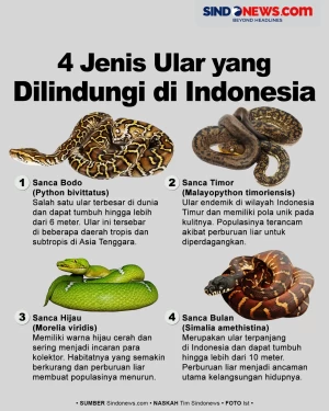 Jangan Dipelihara! Berikut...