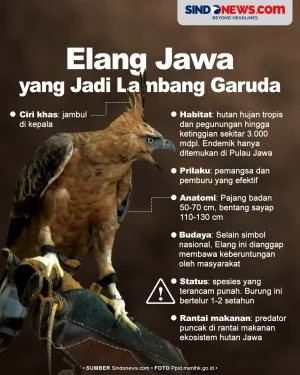 Fakta Menarik Elang...
