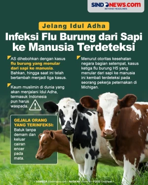 Jelang Idul Adha, Infeksi...