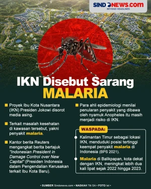 Media Asing Sebut IKN...