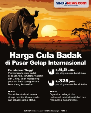 Harga Cula Badak di...