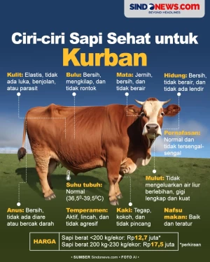 Memilih Sapi yang Bagus...
