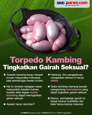 Benarkah Torpedo Kambing...