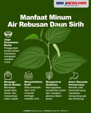 Turunkan Berat Badan...
