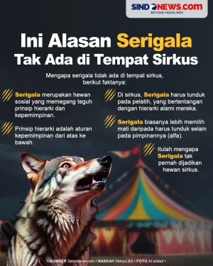 Fakta Mengejutkan Kenapa...