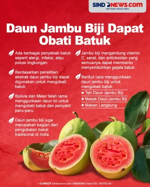 Daun Jambu Biji Dapat...