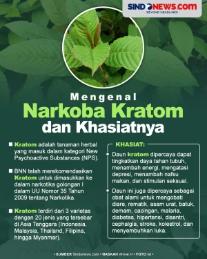 Mengenal Tanaman Narkoba...