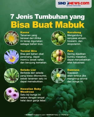 7 Jenis Tumbuhan yang...