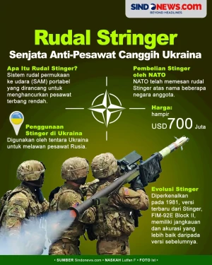 Rudal Stinger, Senjata...