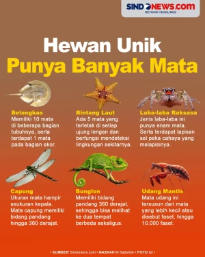 Ada yang sampai 10 Ribu,...