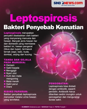 Mengenal Leptospirosis,...