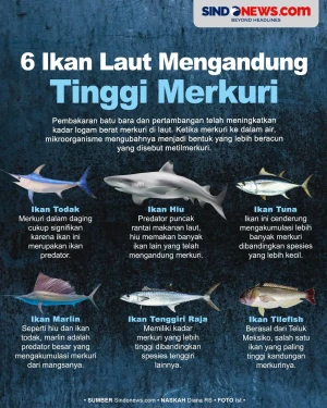 Waspada, Berikut 6 Ikan...