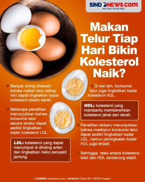 Apakah Makan Telur Setiap...
