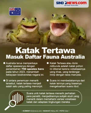 Ini Keunikan Katak Tertawa...