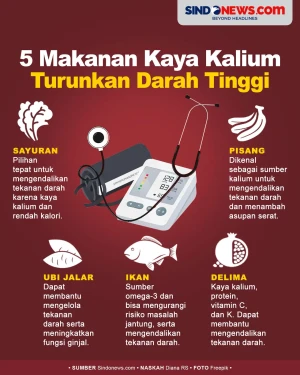 5 Makanan Sehat Kaya...