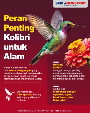 Bantu Ekosistem Lingkungan,...