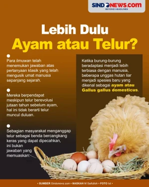 Lebih Dulu Ayam atau...