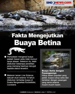 Jarang Diketahui, Berikut...
