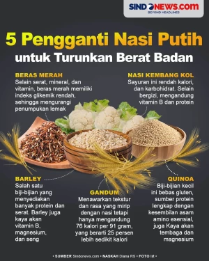 5 Makanan Pengganti...