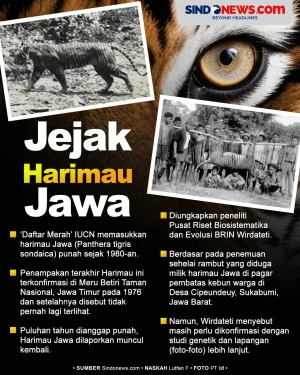 Masih Menjadi Misteri,...