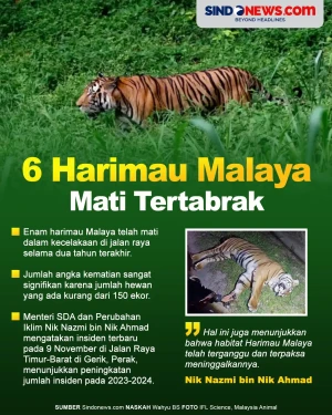 6 Harimau Malaya Mati...