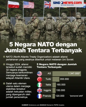 5 Negara Anggota NATO...