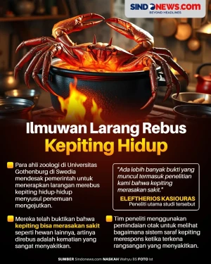 Ini Alasan Ilmuwan Larang...