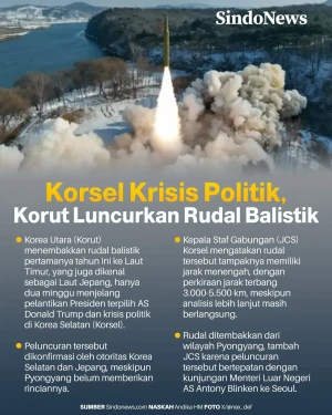 Korea Selatan Krisis...