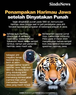Penampakan Harimau Jawa...