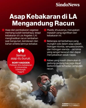 Asap Kebakaran di Los...